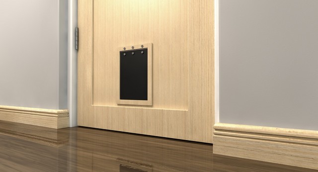 Cat Flap Installation Wallington, SM6