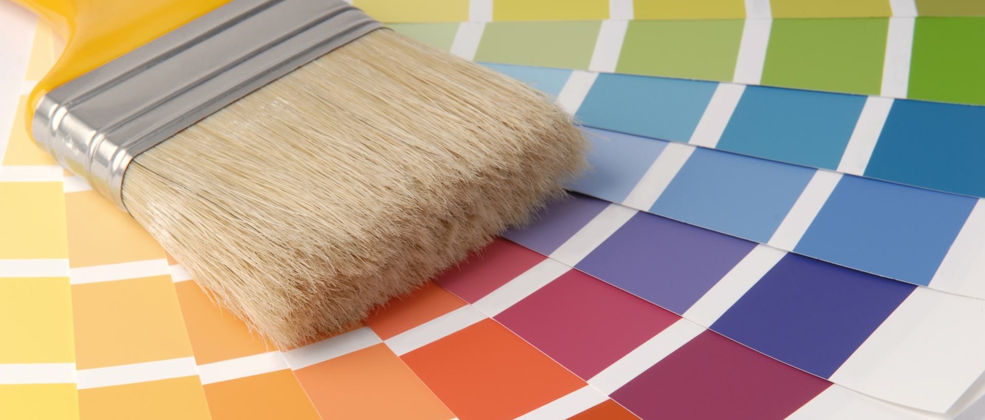 Painter SM6